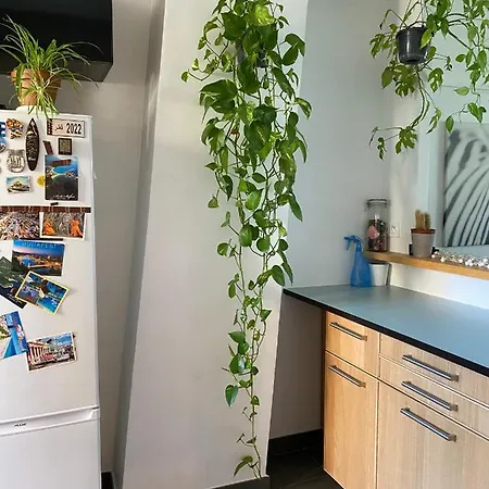 Grand F2 Avec Vue Sur La Maison De Georges Brassens Апартаменты